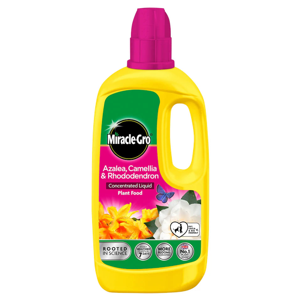 Miracle Gro Pour & Feed Plant Feed 1L