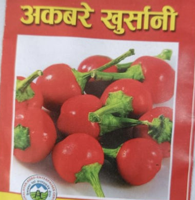 डल्ले खुर्सानी  Dalle . Extremely Hot  round Chilli Seeds .  Akbare Khursani chilli seeds . King of chillies