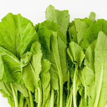 रायो सागको बीऊ / नेपाली मार्फा रायो साग  .Rayo Saag Seeds . Nepali Rayo Spinach seeds