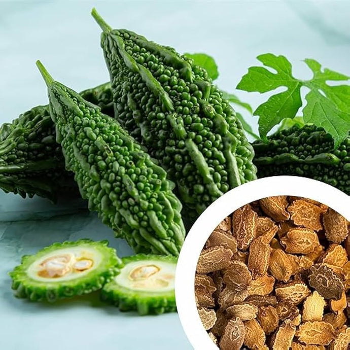 Bitter Gourd Seeds / Karela Seeds [10 Seeds ]