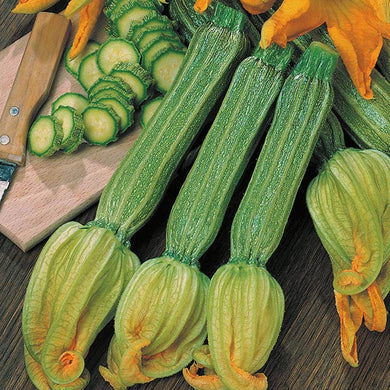 Courgette Romanesco  seeds