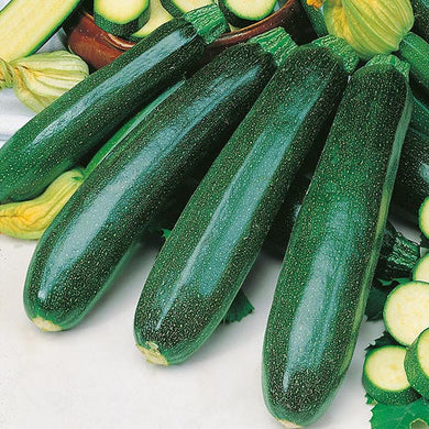 Courgette Zucchini 20 Seeds . Quality  Seeds to Grow your own Garden