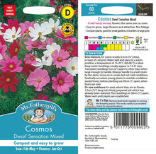 Cosmos Dwarf Sensation Mixed Seeds