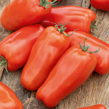 Tomato 'Plum San Marzano 2' Vegetable Seeds