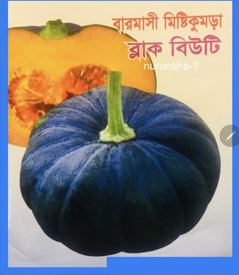 Bangladeshi  Pumkin Seeds / फर्सीको   बीऊ ( 10  Seeds )