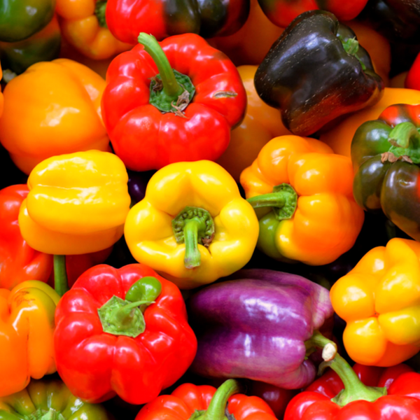 Pepper Sweet Hybrids Mixed seeds