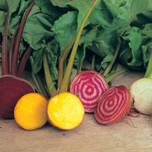Beetroot Rainbow Colour Mix - Sweet & Colourful Garden Seeds for Allotments - Seeds - Easy to Grow -