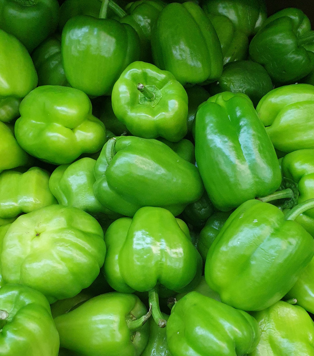 Green Peppers / capsicum