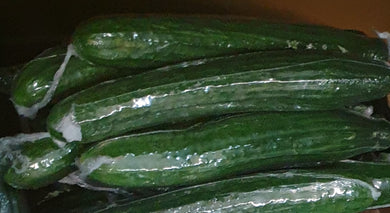 Cucumber