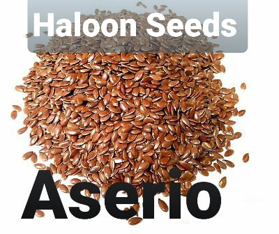 Aserio , Haloon Seeds Halon