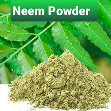 Neem powder  for hair . Treatment  for Dandruff