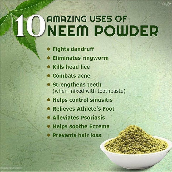 Neem powder for hair . Treatment for Dandruff – HimalayanSpices