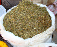 Himalayan Jimbu (जिम्बु)  Himalayan Herb Jimbu 
