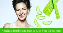 Aloe Vera Soothing Gel Moisturiser   99% Pure Gel for Body , Skin & Hair