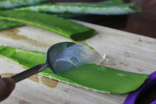 100% Aloe Vera Gel Natural Aloevera Gel Extracted Fresh Aloe Leaf