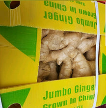 Fresh Ginger Whole ( 10 Kg Box )
