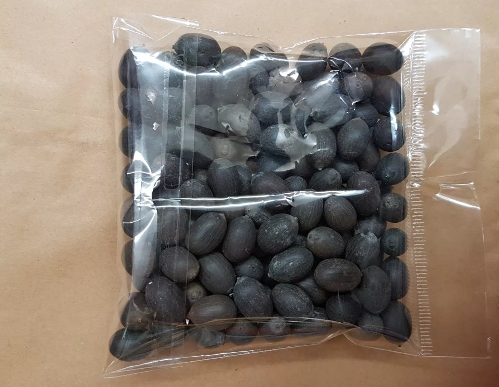 black lotus flower seeds Bonsai Lotus Flower Seeds,Water Lily Flower Plant Aquatic Water – HimalayanSpices