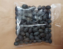 Lotus Flower Seeds from India ( Water Lily Seeds )