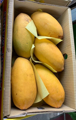 Honey Mangoes 5 PCs/ Box from Pakistan