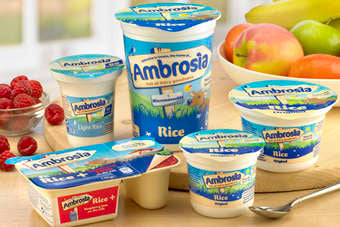 Ambrosia  Custards & Rice Puddings