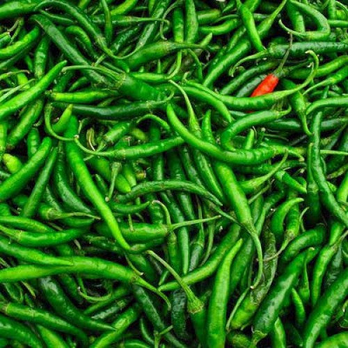 Fresh Green Chillies / Peppers HOT -Direct from importer in UK
