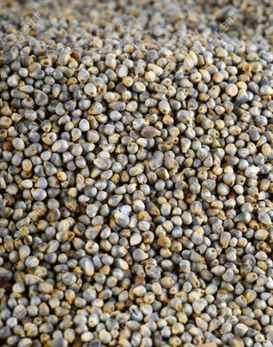Whole Bajra Millet Whole -Hansons