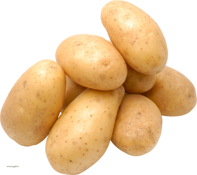 White Potato