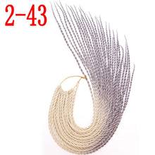 MERISIHAIR Ombre Senegalese Twist Hair Crochet braids 24 inch 30 Roots/pack Synthetic Braiding Hair for Women grey,blue,pink,bro